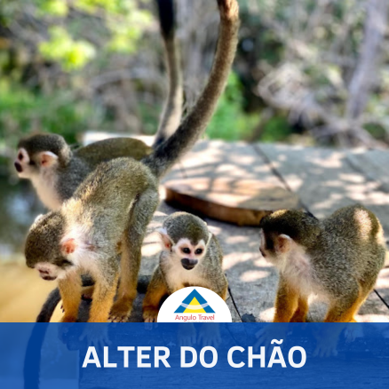 Alter do Chão - PA