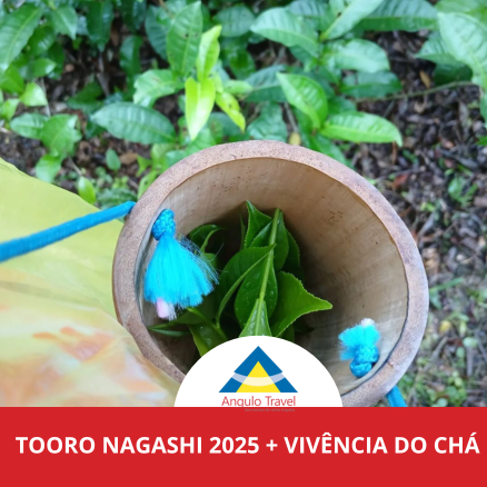 Tooro Nagashi e Vivência do Chá 2025