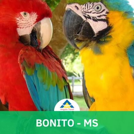 Bonito - MS