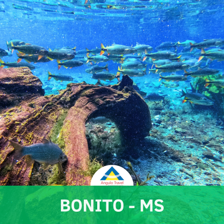 Bonito - MS