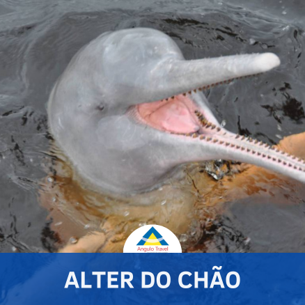 Alter do Chão - PA