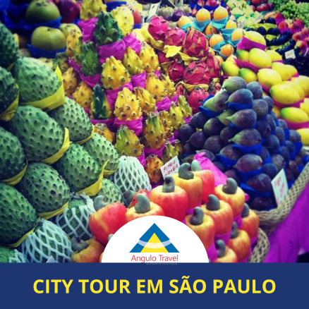 City Tour São Paulo Grupos receptivo