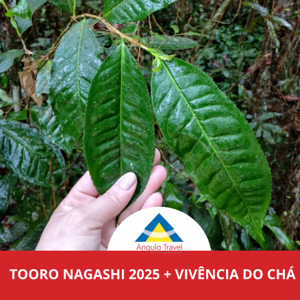 Tooro Nagashi e Vivência do Chá 2025