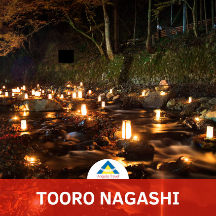 Tooro Nagashi e Vivência do Chá